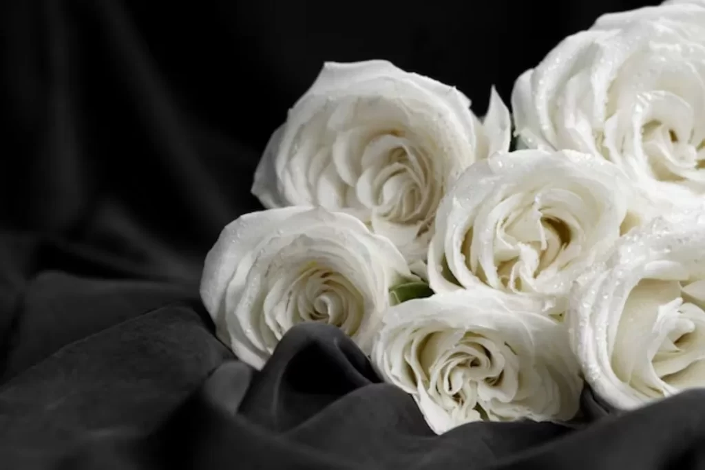 rosas brancas como uma mensagem de luto